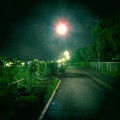 写真: SX730 HS：トイカメラ風で撮影した夜の街灯 - 3