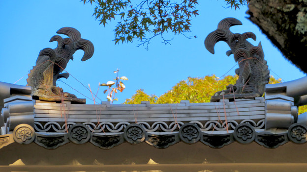 写真: 秋の定光寺 No - 12：お堂の屋根のシャチホコ