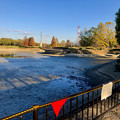 写真: 水抜き（池干し）された落合公園の池（2018年11月） - 4