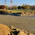 写真: 水抜き（池干し）された落合公園の池（2018年11月） - 11