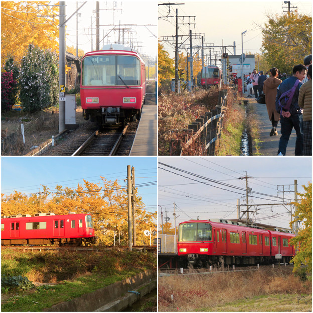 写真: 名鉄尾西線 山崎駅周辺の黄葉 - 1