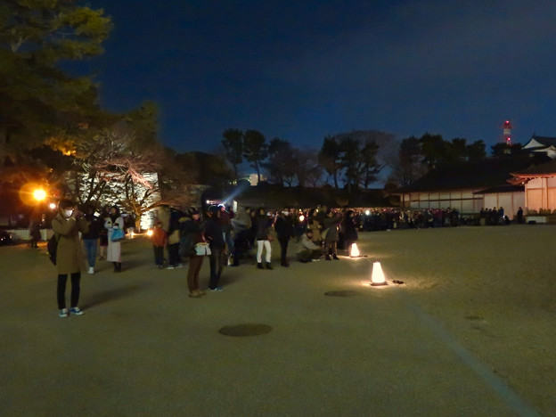 名古屋城×NAKED NIGHT CASTLE OWARI EDO FANTASIA 2018：本丸御殿の巨大横長プロジェクション・マッピング - 15（大勢の観客）