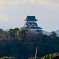 写真: 犬山成田山から見た犬山城 - 2