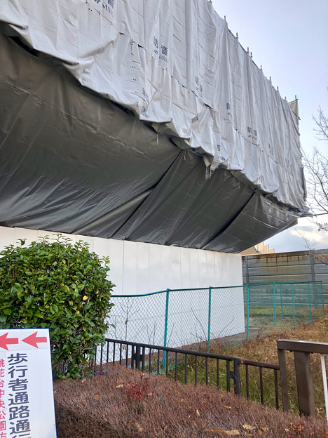 写真: 桃花台線の桃花台東駅周辺撤去工事（2019年1月8日） - 13