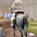 しだみ古墳群ミュージアム「SHIDAMU（しだみゅー）」展示室 No- 17：展示室、志段味大塚古墳の王の想像模型