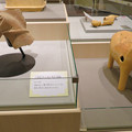写真: しだみ古墳群ミュージアム「SHIDAMU（しだみゅー）」展示室 No- 43：小幡長塚古墳から出土した馬と猪形の埴輪
