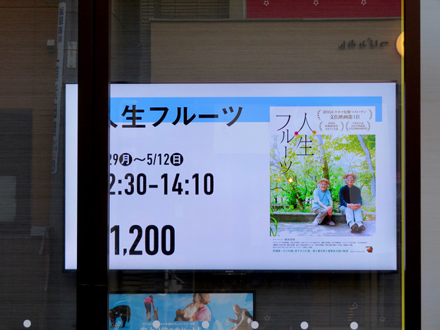 写真: 30年ぶりに大須にオープンした映画館「大須シネマ」 - 8