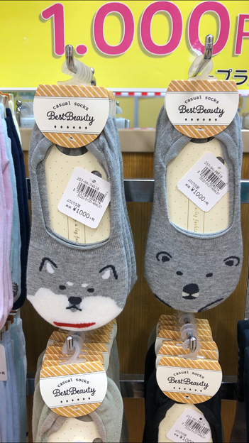 写真: 可愛らしい靴下：犬と…ビーバー？熊？