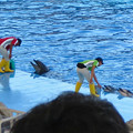 写真: 名古屋港水族館：シャッタースピード早くして撮ったイルカショー - 4