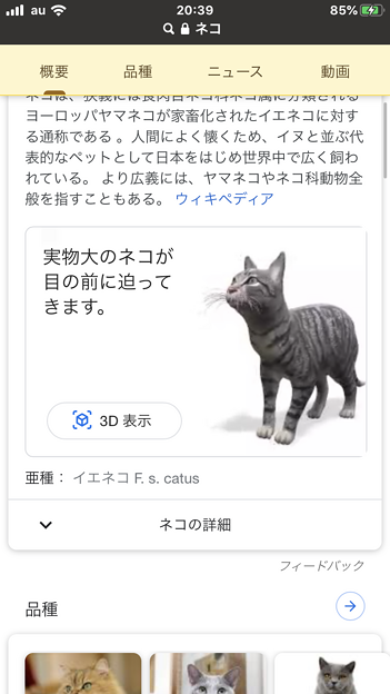 写真: Google検索結果から3Dオブジェクトの猫などの動物がAR表示可能に！ - 1
