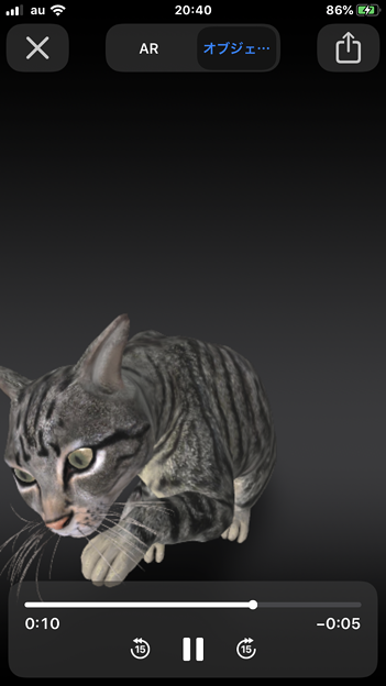 Google検索結果から3Dオブジェクトの猫などの動物がAR表示可能に！ - 5