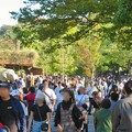 写真: 東山動植物園（2019年10月） - 4：大勢の人で賑わう台風一過の秋の園内