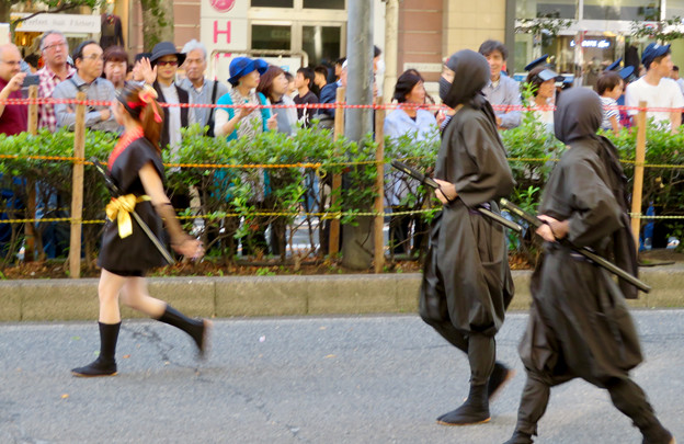 写真: 名古屋まつり 2019：パレードに忍者