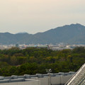 写真: オアシスホイールから見た景色：岐阜城・金華山 No - 1