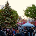 写真: 名古屋クリスマスマーケット 2019 No - 6：クリスマスツリーと来場していた大勢の人たち