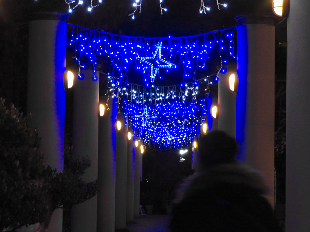 写真: フラリエのクリスマスイルミネーション 2019：青い回廊