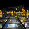 写真: オアシス21：今年のクリスマスイルミネーションは沢山のツリーが並ぶ「ウォーターツリークリスマス」- 18