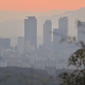 写真: 東谷山展望台から見た景色 - 1：名駅ビル群