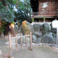 写真: 白山神社 - 48