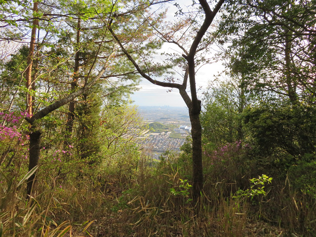 写真: 道樹山山頂から見た景色 - 1