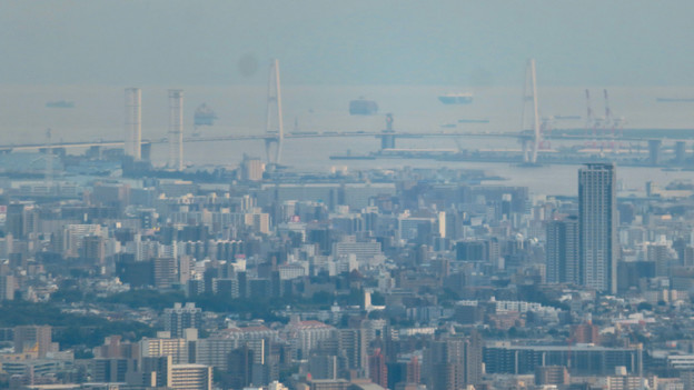 写真: 弥勒山山頂から見た景色 - 11：名港中央大橋と新名古屋火力発電所