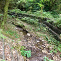 写真: 春日井東部の山の中を流れる小木道（うぎみち）川 - 2