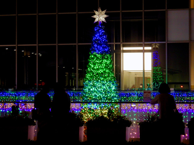 写真: ゲートタワー前のクリスマスツリー 2020 No - 12