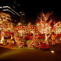 写真: 大名古屋ビルヂング スカイガーデンのクリスマスイルミネーション 2020 No - 2