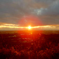 写真: 西高森山山頂から見た夕日 -  1