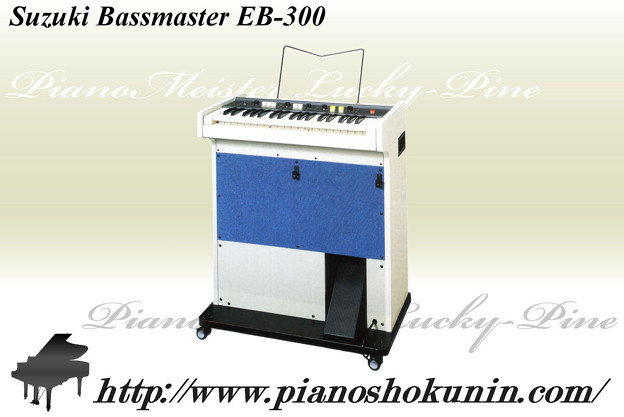 Suzuki Bassmaster EB-300
