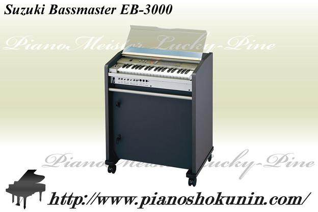 Suzuki Bassmaster EB-3000