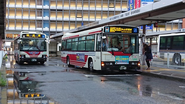 写真: 雨露に濡れる関東バス