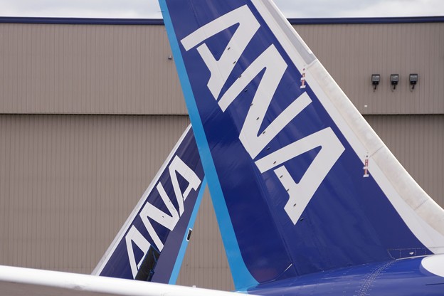 写真: Boeing 787-8s for ANA