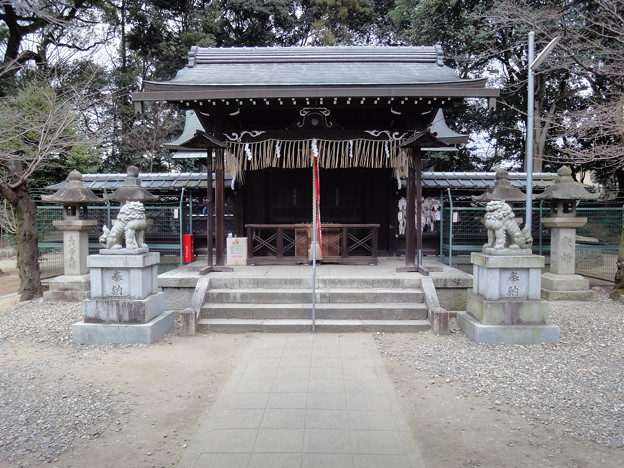 写真: 許波多神社(木幡) 拝殿