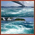 写真: 香川で讃岐うどん食べて、徳島の鳴門のうず潮を観に。