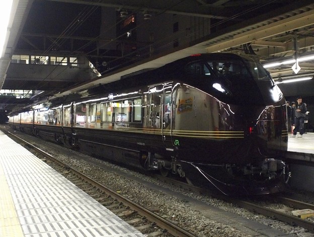 E655系｢和｣　団体臨時列車　返却回送