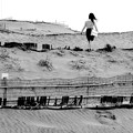 写真: 砂丘を行く