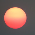 写真: 真っ赤な太陽と白鷺