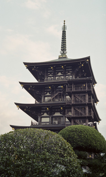 写真: 圓満寺五重塔