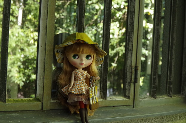 写真: 秋の新作ワンピ＆帽子＆バッグ