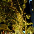 写真: 新宿サザンテラス