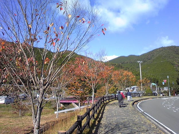 写真: 和歌山県中辺路町近露
