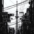 Photos: 日本之秋＃4