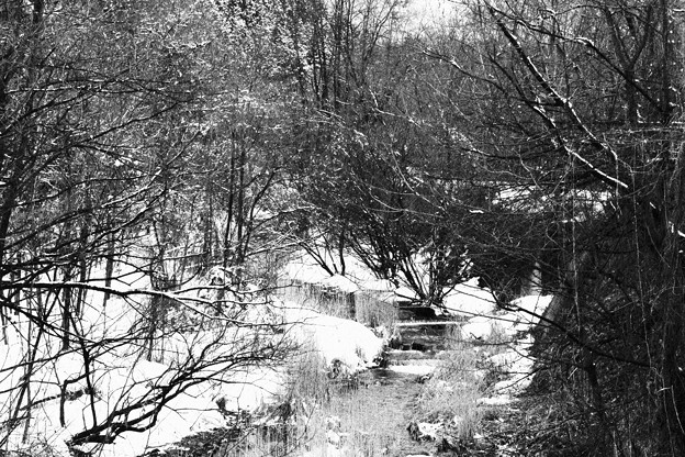 写真: 冬の小川