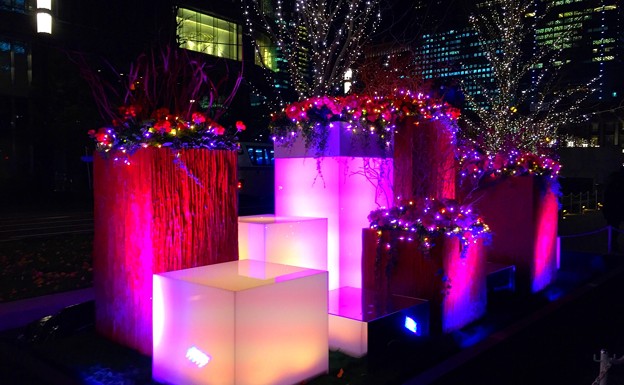 フラワーアートのイルミネーション #東京ミチテラス #イルミネーション #クリスマス #丸の内 #東京駅 #tokyo