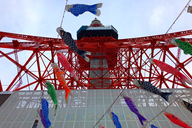 写真: 東京タワーの鯉のぼり #tokyo #tokyotower #東京 #東京タワー #carpshapedstreamer #鯉のぼり #mysky