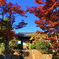 写真: 扇谷山海蔵寺山門 #湘南 #鎌倉 #寺 #kamakura #temple #mysky #autumnleaves #花 #flower