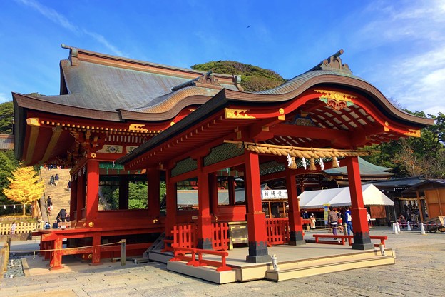 写真: 鶴岡八幡宮舞殿 #鎌倉 #神社 #shrine #紅葉 #autumnleaves #kamakura #鶴岡八幡宮