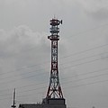 写真: 鉄塔（8月22日）