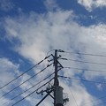 写真: 電柱と雲のある青空（9月6日）